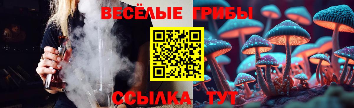 Галлюциногенные грибы Psilocybe  Псилоцибиновые грибы Psilocybine cubensis  магазин продажи   Вход с VPN  Санкт-Петербург 